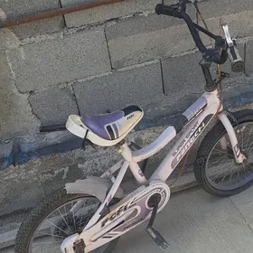 tigir 16vlyk