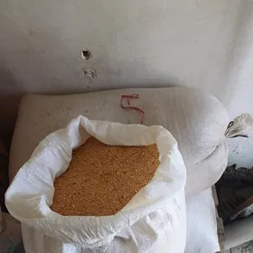 Soyo soya