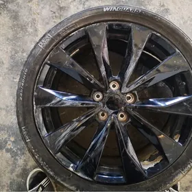maxima R19