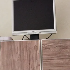 Monitor