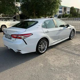 Toyota Camry 2019