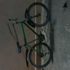 Turkmenistan tigir 26lyk 