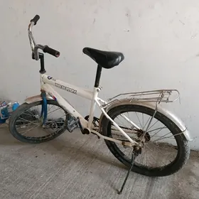 Tigyr