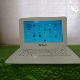 Bilimli netbook
