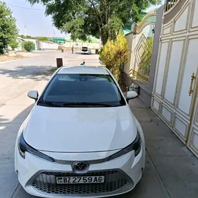 Toyota Corolla 2019