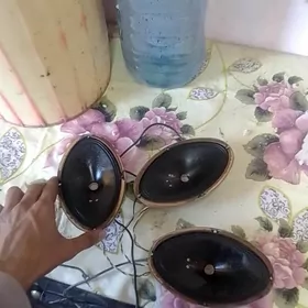 kolonka