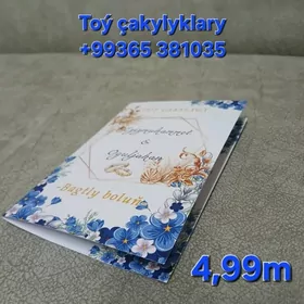 Toy cakylyklar