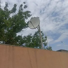 kiçi anten