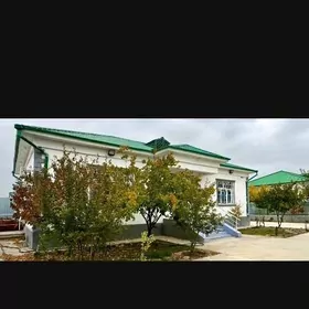 Taze Zaman jay