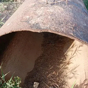 turba