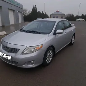 Toyota Corolla 2008