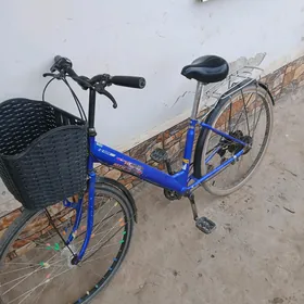 welik yapoşka
