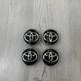 Toyota diskan znacogy