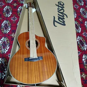 ️Elektro akustik gitara гитар