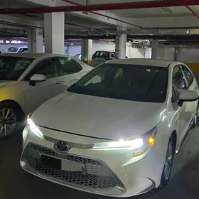 Toyota Corolla 2019