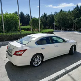 Nissan Maxima 2010