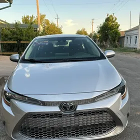 Toyota Corolla 2020