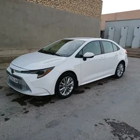 Toyota Corolla 2020