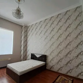 ARENDA ELITKA CEHOW 4 KOM