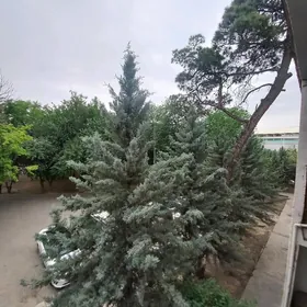 ЦЕНТР ЧЕХОВА 1-КОМ 42КВ.М