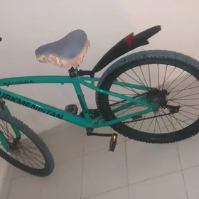 TURKMENISTAN TIGIR