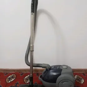 plesos