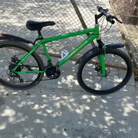 Turkmenistan tigir