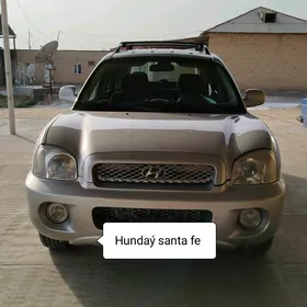 Hyundai Santa Fe 2004