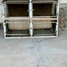 TOWUK KETEK