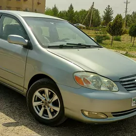 Toyota Corolla 2003
