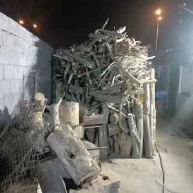 Odun