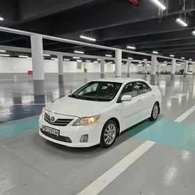 Toyota Corolla 2008
