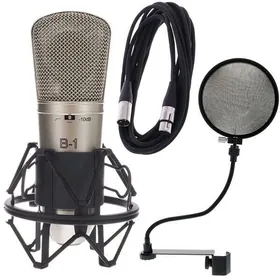 Behringer B1 Microphone