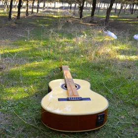 ELEKTRO ORGINAL GITARA KLASSIK