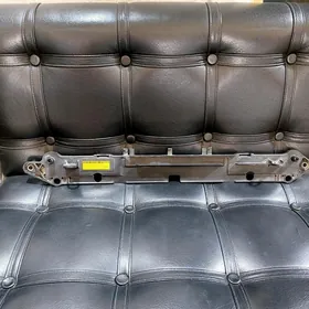 Corolla radiatr plasmas