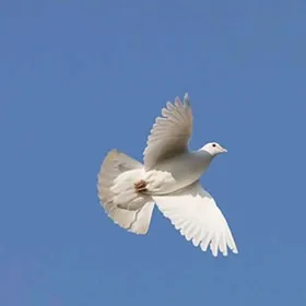 kepderi