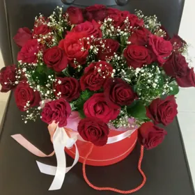 gül,roza,цветы,роза,sowgat,şar