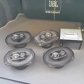 pioneer nikl 500lik