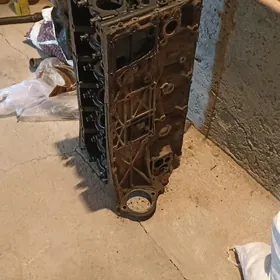 былок