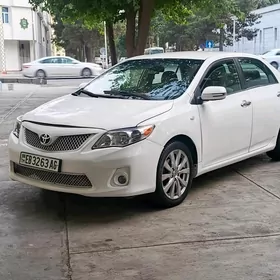 Toyota Corolla 2010