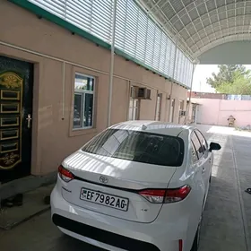 Toyota Corolla 2021