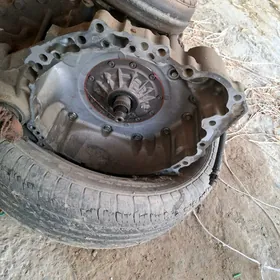 karopga 3.5
