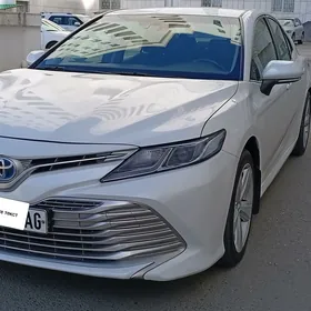 Toyota Camry 2019