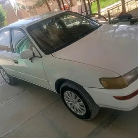 Toyota Corolla 1995