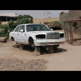kuzwa