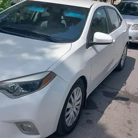 Toyota Corolla 2014