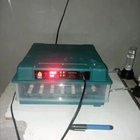inkubator juyje