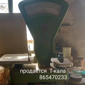 весы