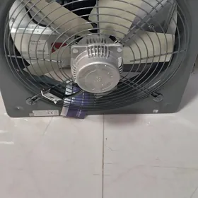 Howalandyrma Witiçka