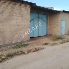 дача коне айрапортда